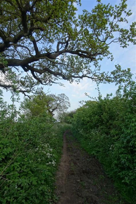 Bridleway Towards Rudcarr Lane DS Pugh Cc By Sa 2 0 Geograph