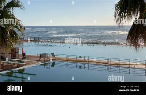 Sea point pavilion Stock Videos & Footage - HD and 4K Video Clips - Alamy