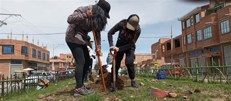 Comienza el plan anual de forestación en El Alto con 200 plantines en