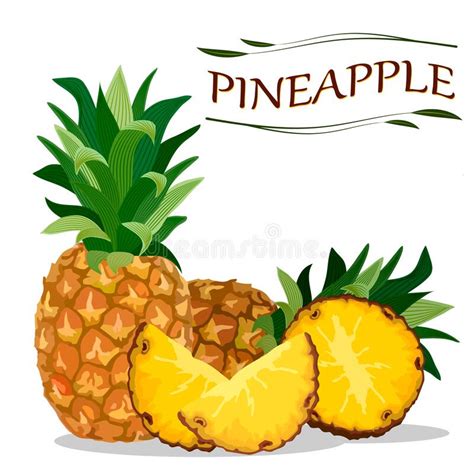 Vector Illustration With Pineapple Stock Vector Illustration Of Healthy Color 245359366