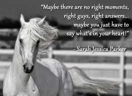 I love my horse quotes | Quotes About Life