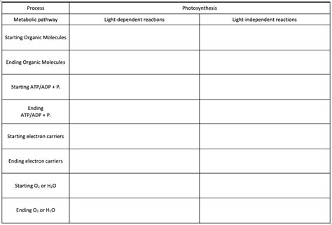 Solved Process Photosynthesis Metabolic pathway | Chegg.com