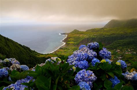 Flores Island, Azores: Is it Worth Visiting? | Azores.com