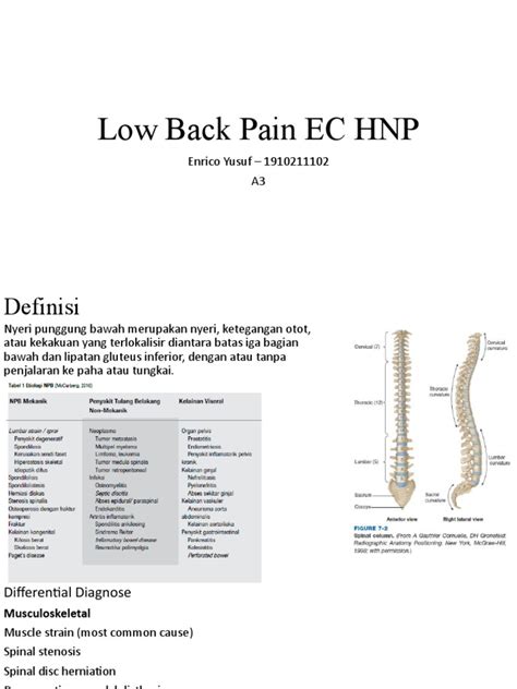 Low Back Pain Ec Hnp Pdf