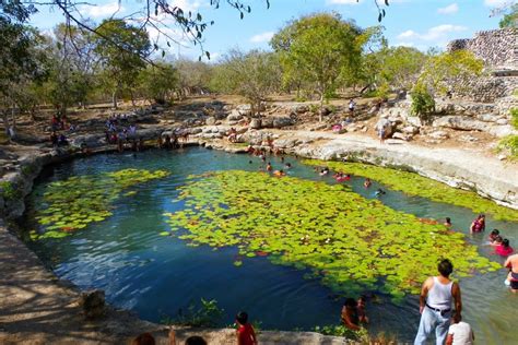 Los Mejores Cenotes En Yucat N Que Deber As Conocer