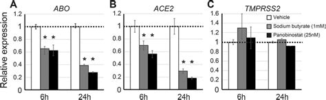 Abo Ace2 And Tmprss2 Expression In Katoiii Cells Cultured With Or Download Scientific Diagram