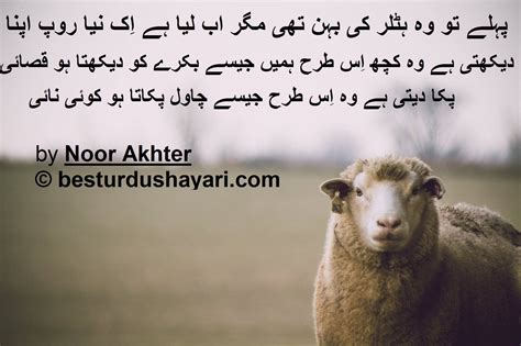 Funny Urdu Poetry Archives Besturdushayari