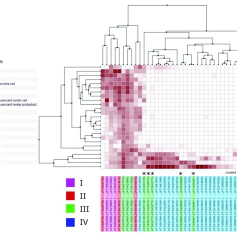 Clustered Mrna Expression Values Of Arabidopsis Thaliana Ralf