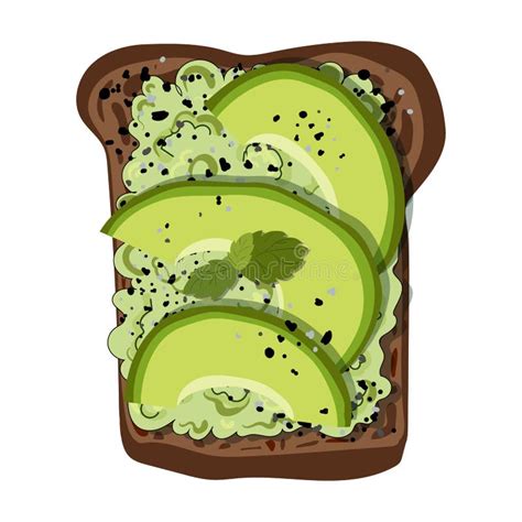 Tostada Del Aguacate Del Vector Ilustración del Vector - Ilustración de ...