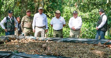 M S De Mil Hect Reas De Cultivos Ilegales De Hoja De Coca Fueron