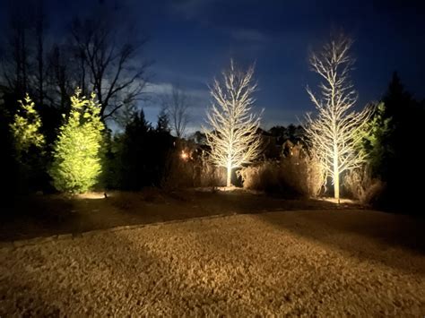 Top Outdoor LED Lights - Lights All Year