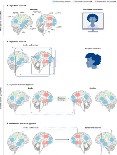 Using Second Person Neuroscience To Elucidate The Mechanisms Of Social