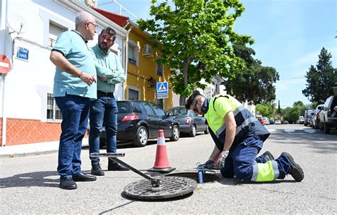 El Ayuntamiento de Linares comienza una nueva campaña de desinsectación