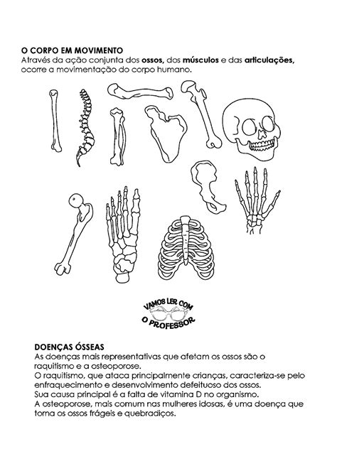 Atividades Sobre O Corpo Humano 4 Ano - 6