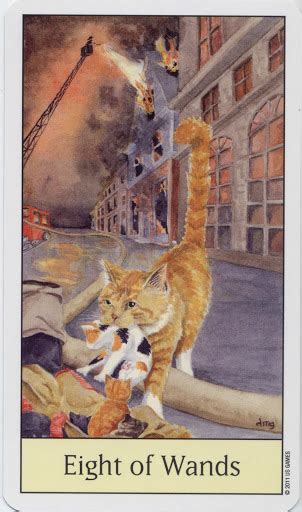 L Eight Of Wands Cat S Eye Tarot