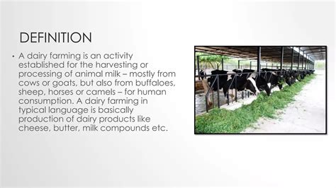 Dairy Farming Ppt