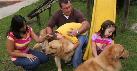 Las Mascotas Ayudan A Las Personas Que Padecen Autismo Supermanada