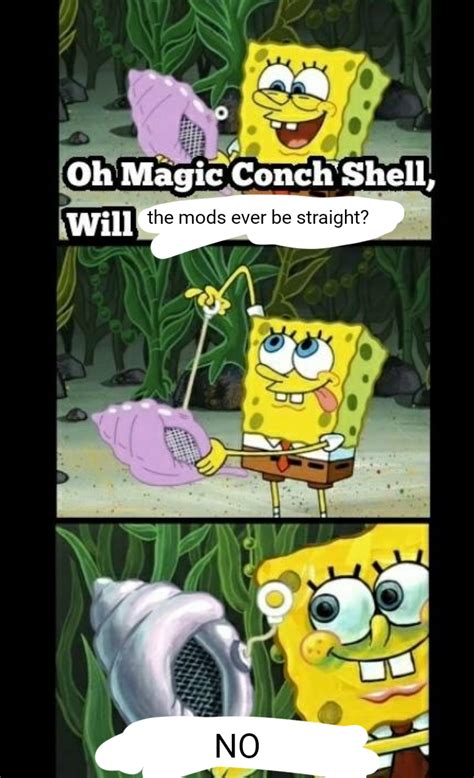 Magic Conch Meme