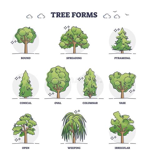 Vegetation Types Stock Illustrations – 492 Vegetation Types Stock Illustrations, Vectors ...