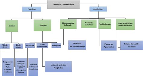 Functions and applications of secondary metabolites | Download Scientific Diagram