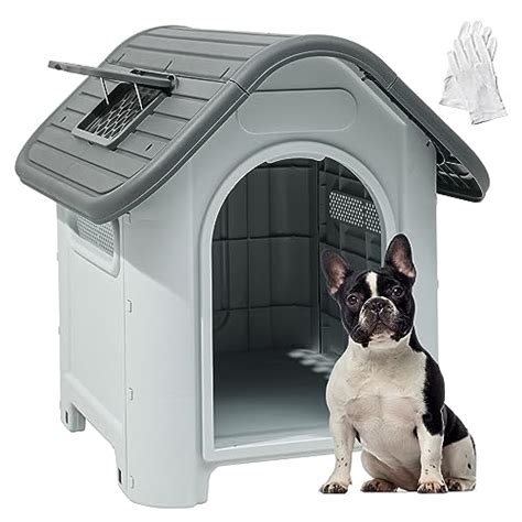 10 Best Small Igloo Dog Houses: The Perfect Guide for Your Pooch's ...