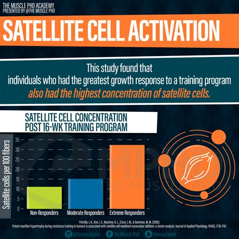 Satellite Cells and Elite Bodybuilders - The Muscle PhD