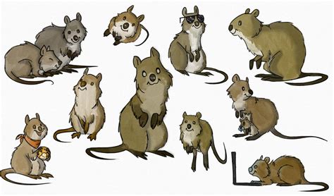 Quokkas By Moviedraws On Deviantart