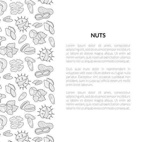 Nozes Banner Template Lugar Para O Seu Texto Alimentos Org Nicos