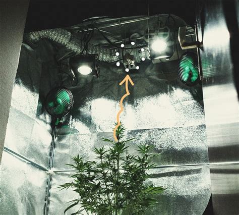 Everything You Need to Know About Cannabis Grow Tents - RQS Blog