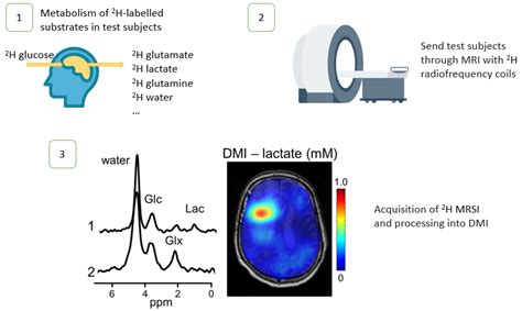 Magnetochemistry Free Full Text Old Discovery Leading To New Era