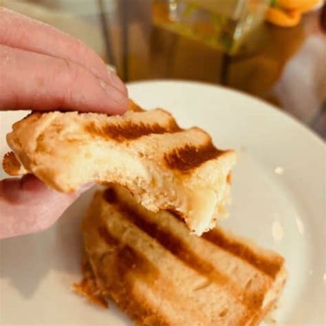 Grilled Cheese Panini Sandwich Recipe - Bread Dad