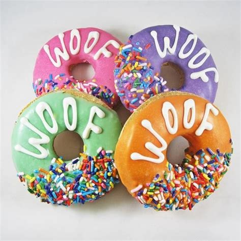 Medium Woof Donut Dog Treat Cute Dog Treat Iced Dog Treat Cheddar