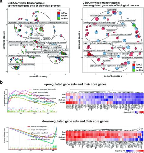 Gene Set Enrichment Analysis Gsea Showing An Immune System Remolding