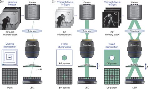 Hybrid Brightfield And Darkfield Transport Of Intensity Approach For