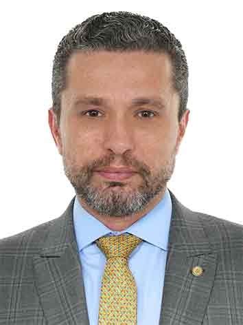 Deputado Federal Fausto Pinato Sp Cidades Do Meu Brasil