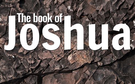 The Book of Joshua Bible Study | tlcms.org