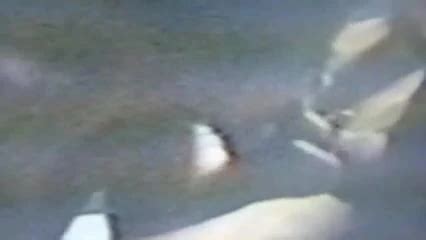 Kiki Greek Mature Xhamster