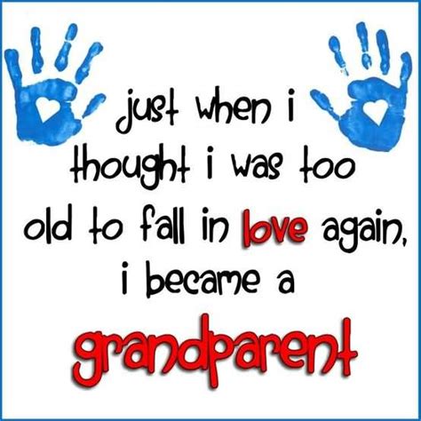 25 Quotes About Grandchildren Being A Blessing Quotesbae