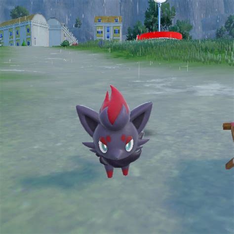 Evolution Zorua Pokemon Noir In Stock Th