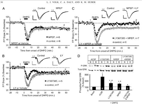 Figure 3 From Differential Roles For Group 1 MGluR Subtypes In