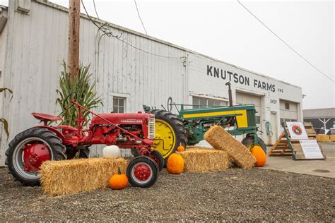 THE PATCH — Knutson Farms Inc.