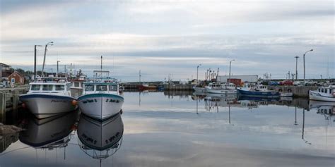 Premium Photo Fishing Trawlers Moored At Harbor Petit Etang Cape