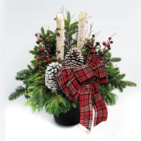 Brookdale Treeland Nurseries Potted Greenery Christmas Wreaths