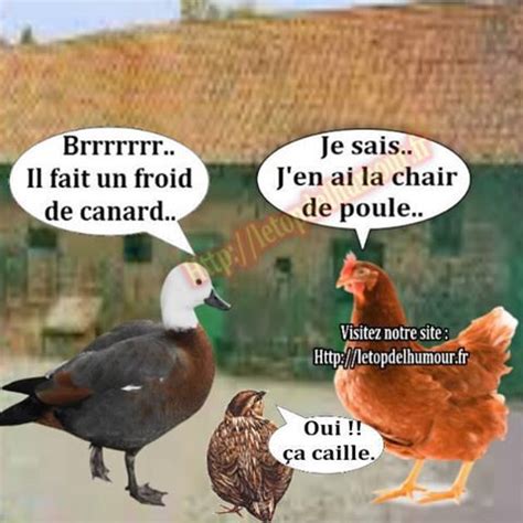 Canard Wc Humour BlageusDown