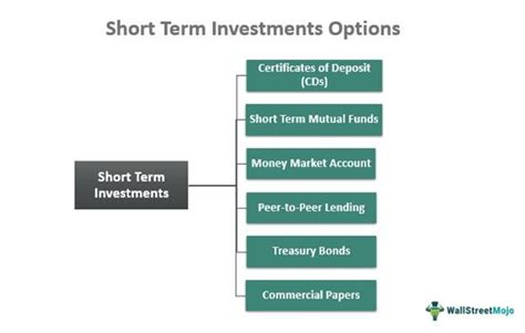 Short Term Investments Meaning Examples Options What Is It