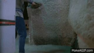 Dumb & Dumber: Lloyd and Seabass Toilet Scene (Deleted Scene) on Make a GIF