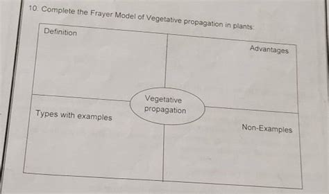 10 Complete The Frayer Model Of Vegetative Propagation In Plants Defini