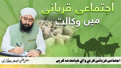 Ijtimai Qurbani 2023 Mufti Ali Asghar Ijtimai Qurbani Karne Walon