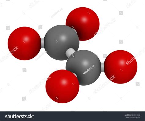 Oxalate Anion Chemical Structure Oxalate Salts Stock Illustration 1218939082 Shutterstock