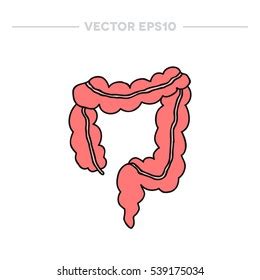 Doodle Icon Human Intestines Vector Illustration เวกเตอรสตอก ปลอด